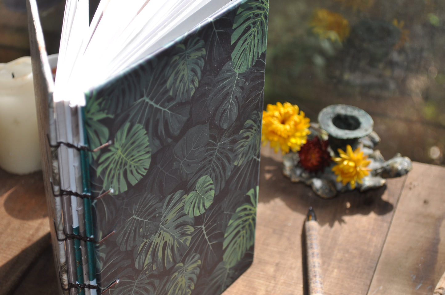 Carnet dessins / peinture / herbier "Forêt tropicale"