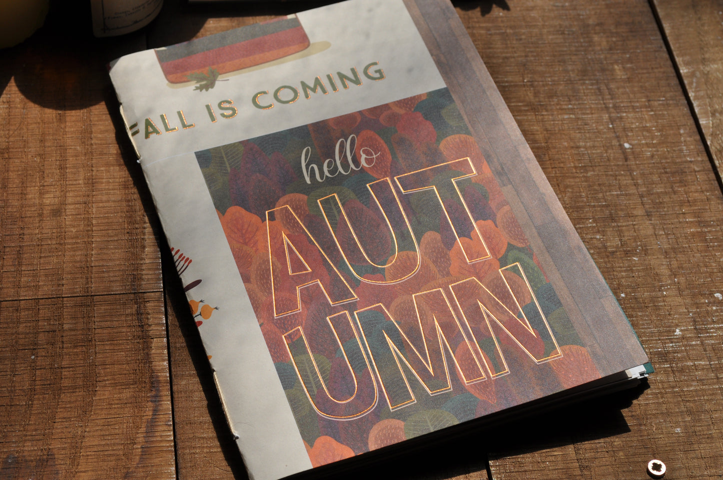 Cahier "Début d'automne"