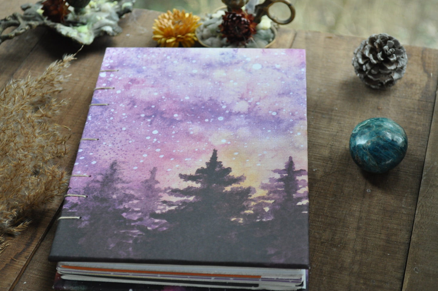 Carnet dessins / peinture / herbier "Sapin boréal"