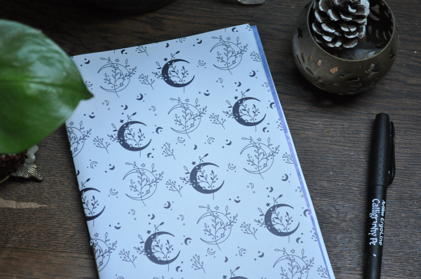 Cahier "Lunaire"