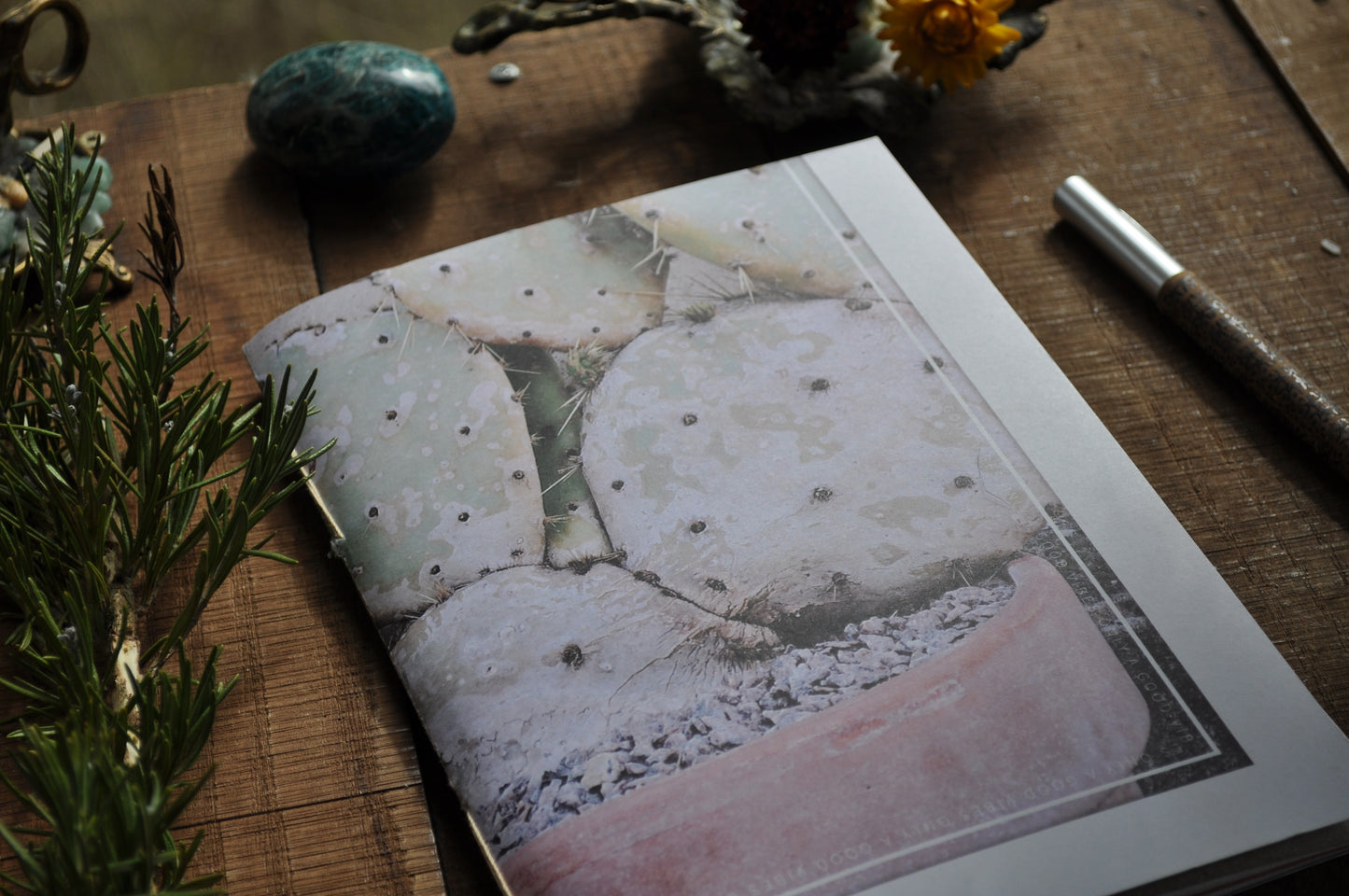 Cahier "Succulente"