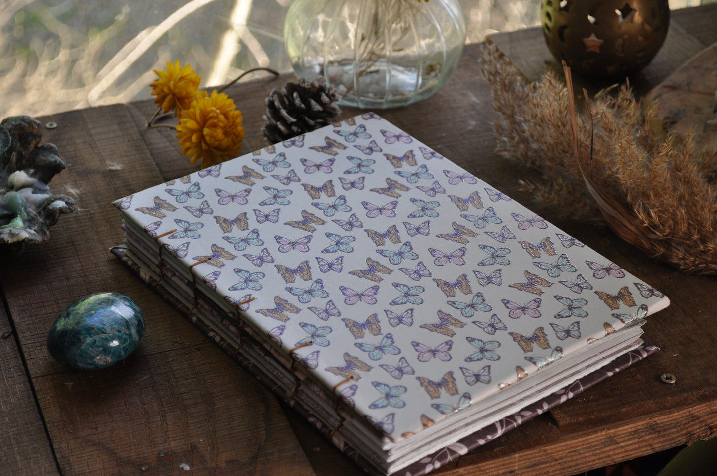 Carnet dessins / peinture / herbier "Papillons en folie"
