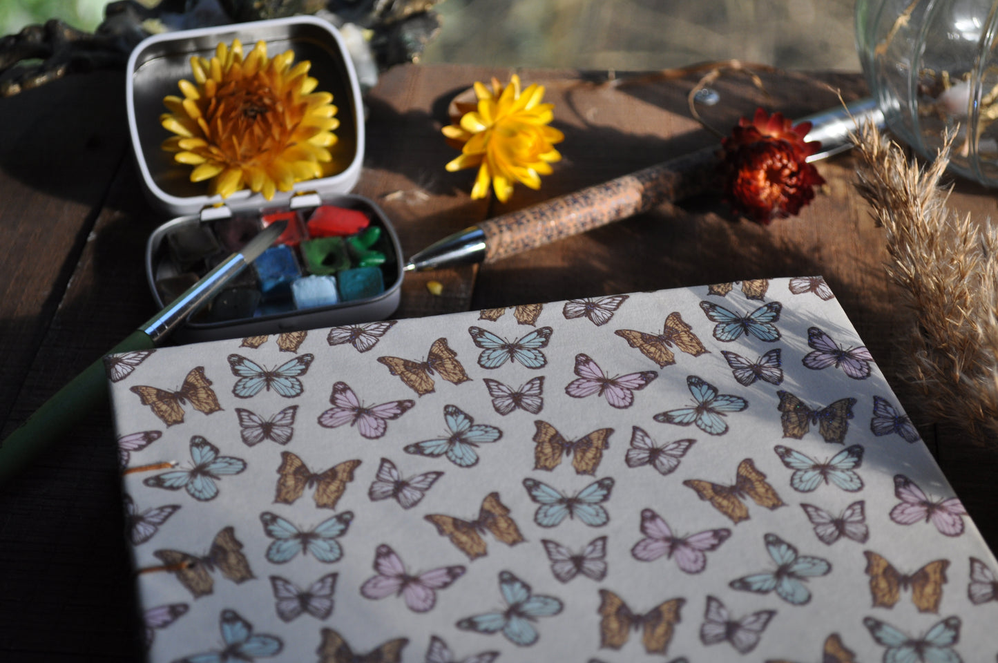 Carnet dessins / peinture / herbier "Papillons en folie"