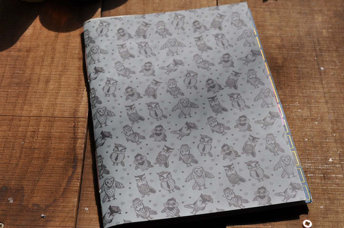 Cahier "Maitre hiboux"