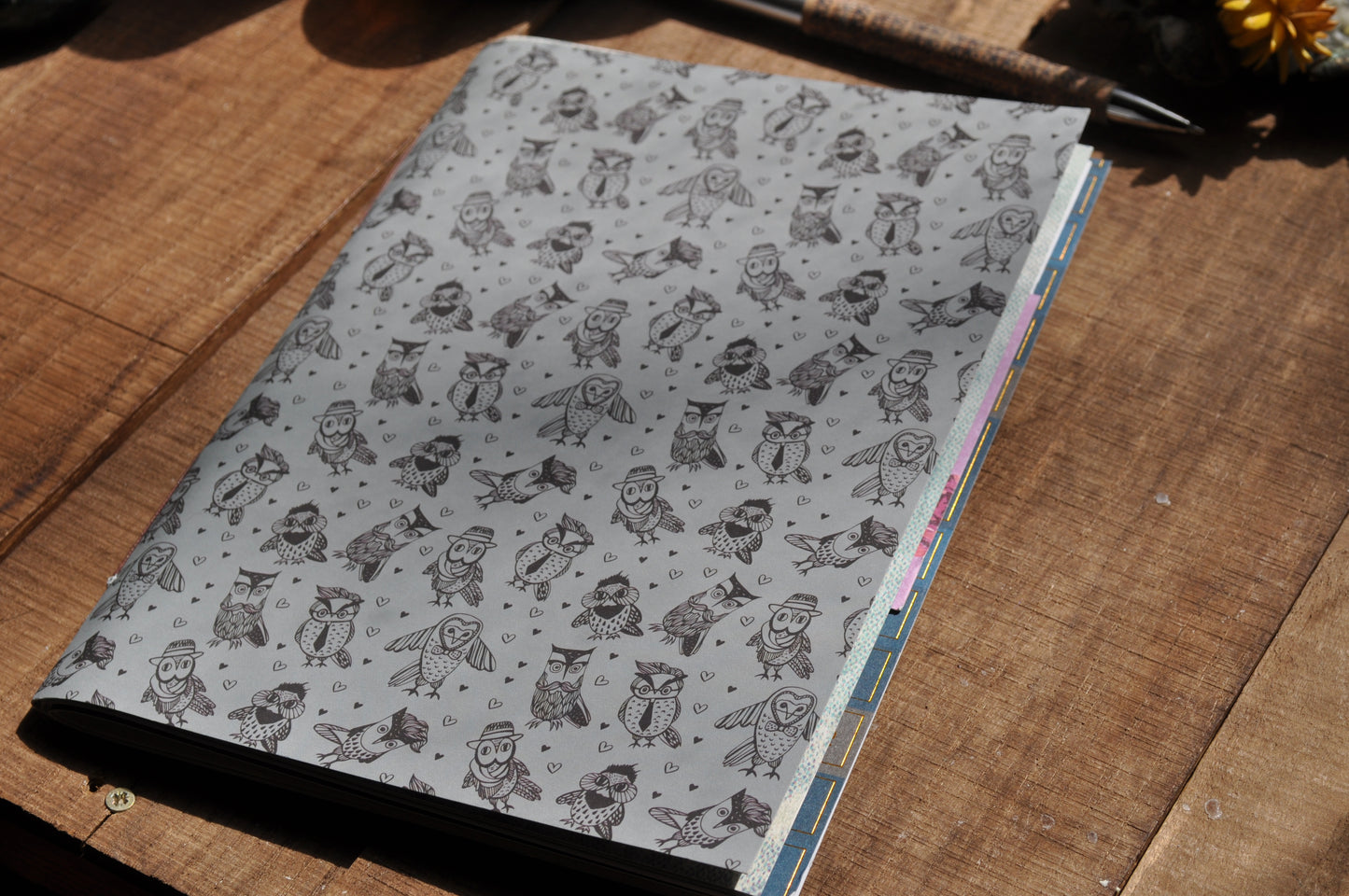 Cahier "Maitre hiboux"