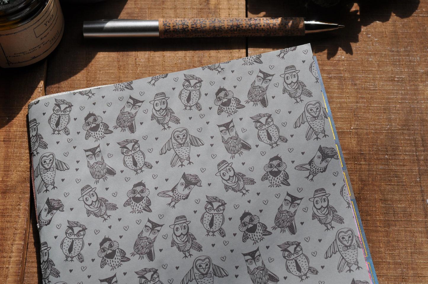 Cahier "Maitre hiboux"