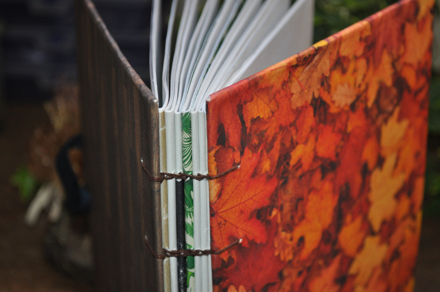 Carnet "Feuillage d'automne"