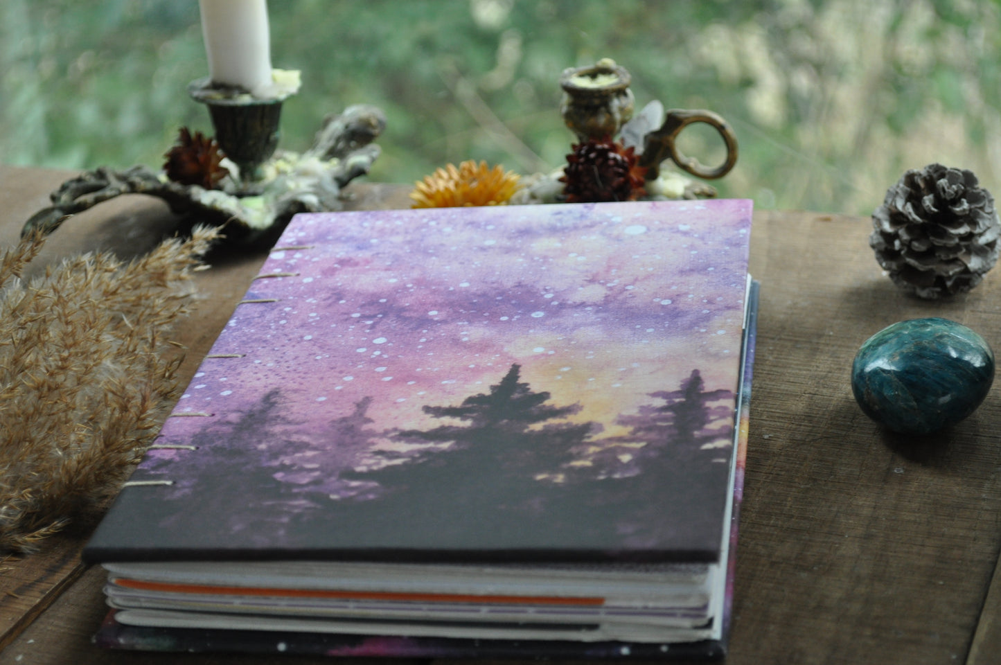 Carnet dessins / peinture / herbier "Sapin boréal"