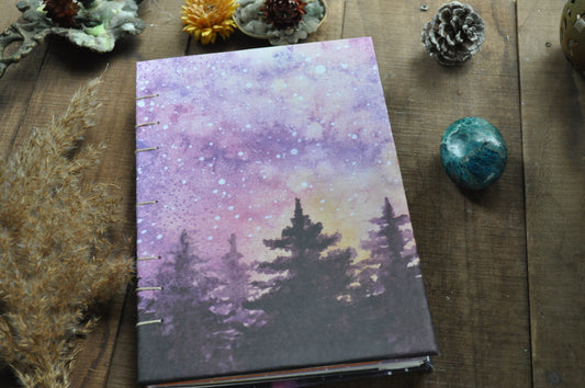 Carnet dessins / peinture / herbier "Sapin boréal"