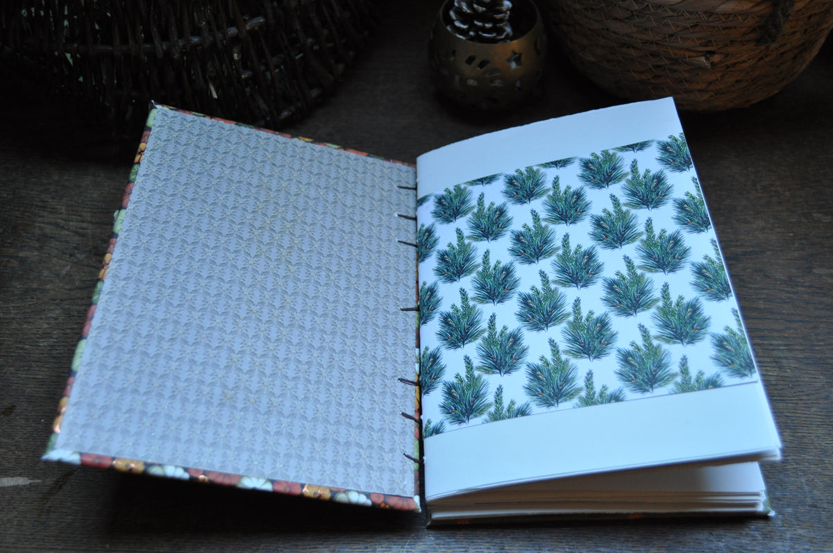 Carnet dessins / peinture / herbier "Citrouilles d'automne"