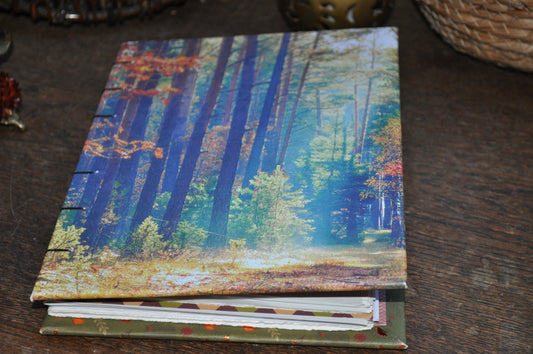 Carnet dessins / peinture / herbier "Forêt d'automne"