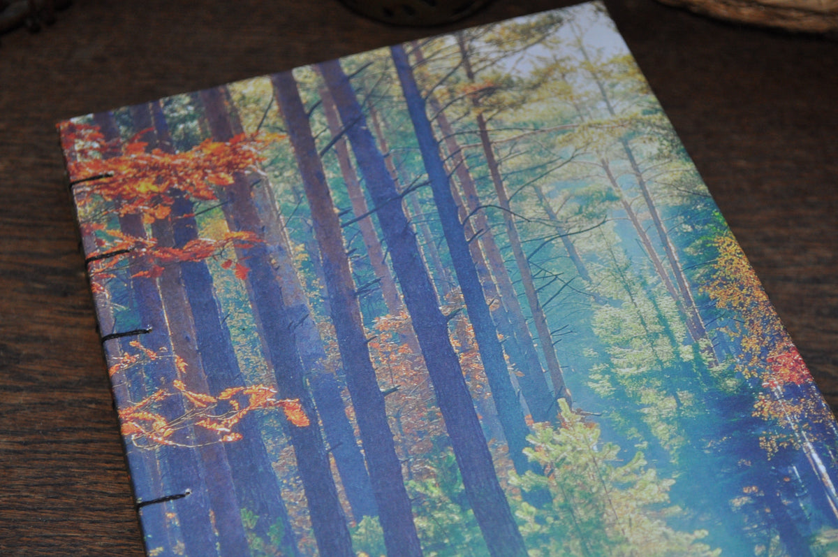 Carnet dessins / peinture / herbier "Forêt d'automne"