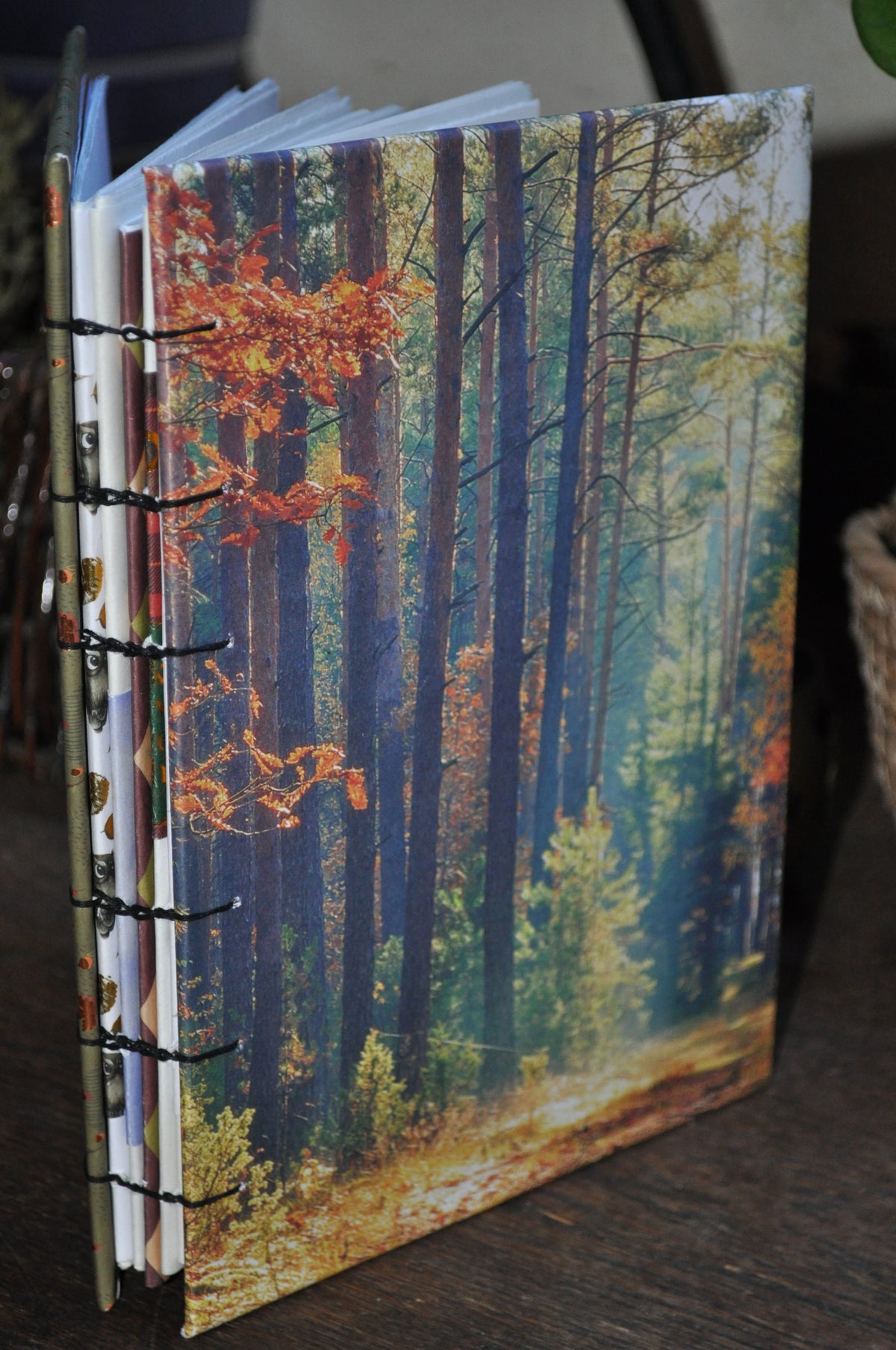 Carnet dessins / peinture / herbier "Forêt d'automne"
