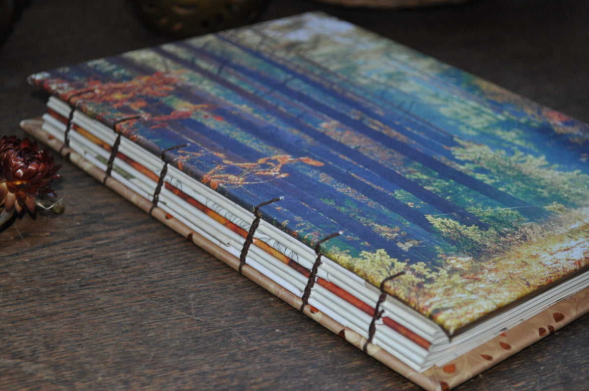 Carnet "Forêt d'automne"