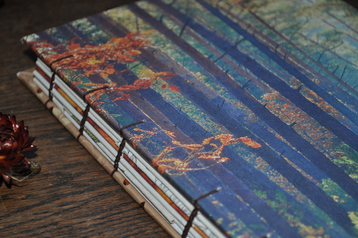 Carnet "Forêt d'automne"