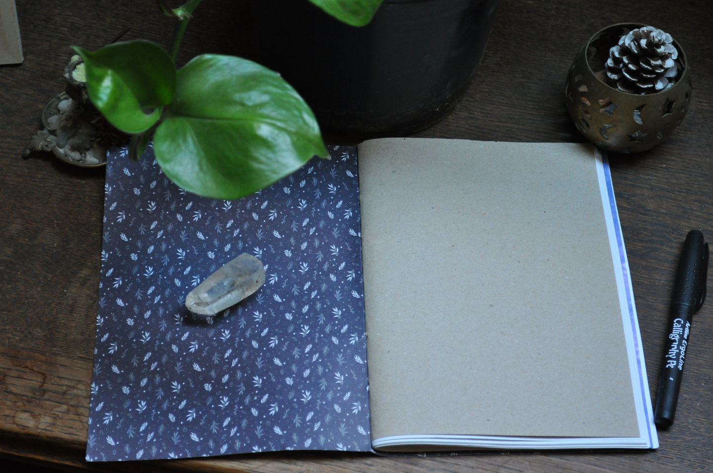 Cahier "Lunaire"