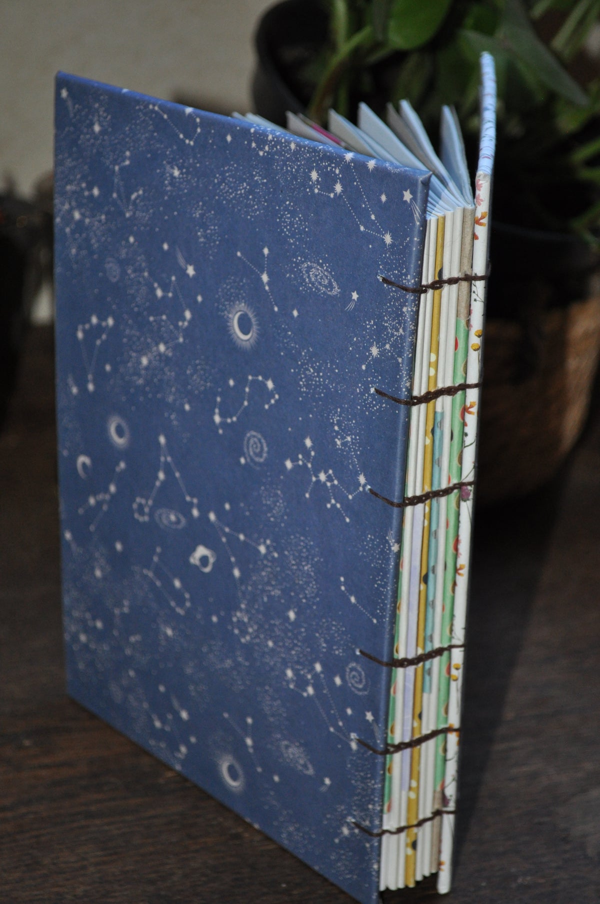 Carnet "Fleurs en folies"