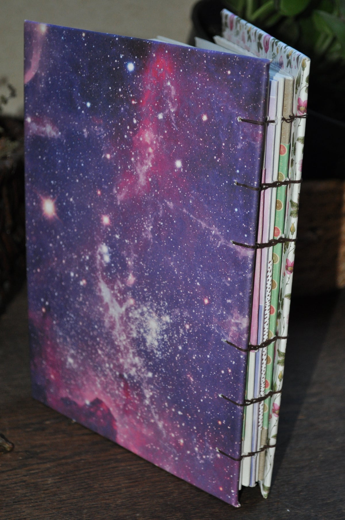 Carnet dessins / peinture / herbier "Lianes de fleurs"