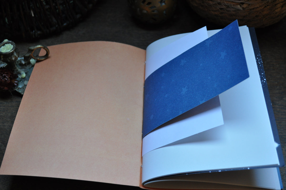 Cahier "Renardeaux"