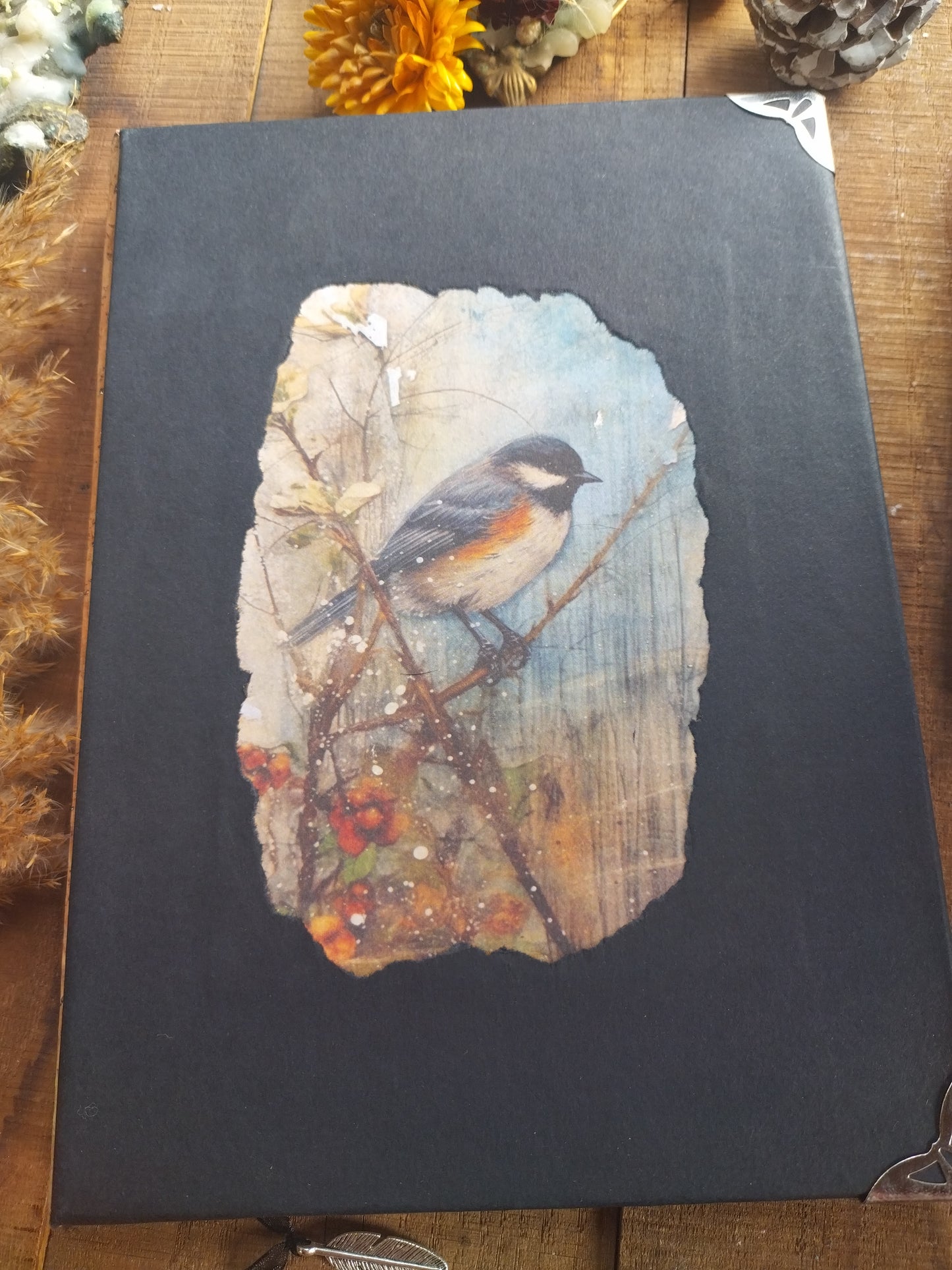 Grimoire Mésange